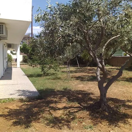 Appartamento Androshouses - Agios Petros Kipri (Andros)