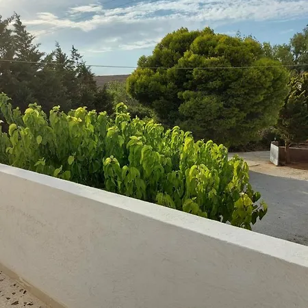 Androshouses - Agios Petros Kipri (Andros)